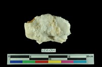 藏品(霰石)的圖片